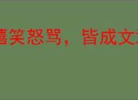 嬉笑怒骂，皆成文章