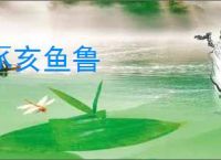 豕亥鱼鲁