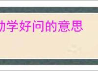 勤学好问的意思