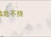 临危不挠