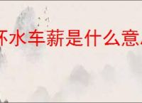 杯水车薪是什么意思