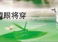 望眼将穿