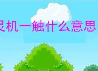 灵机一触什么意思