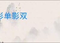 形单影双
