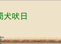 蜀犬吠日
