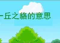 一丘之貉的意思