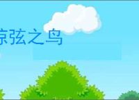 惊弦之鸟