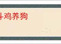 斗鸡养狗
