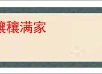 穰穰满家