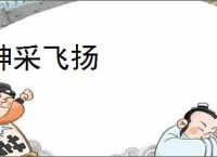 神采飞扬