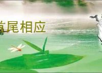 首尾相应