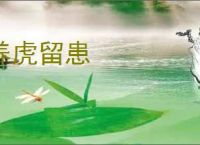 养虎留患