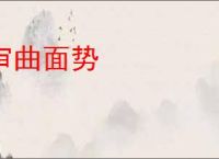 审曲面势