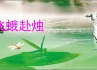 飞蛾赴烛