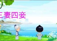 三妻四妾