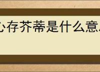 心存芥蒂是什么意思