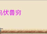 鸟伏兽穷