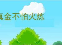 真金不怕火炼
