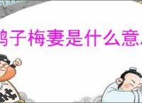 鹤子梅妻是什么意思
