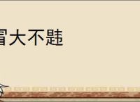 冒大不韪