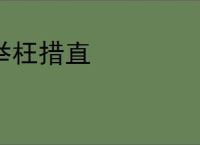 举枉措直