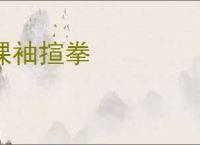 裸袖揎拳