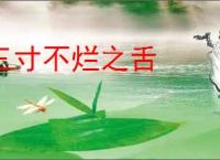 三寸不烂之舌