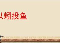 以蚓投鱼