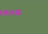 连枝共冢