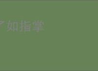 了如指掌