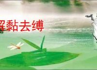 解黏去缚
