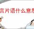 只言片语什么意思?