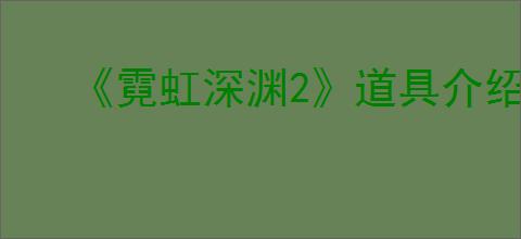 《霓虹深渊2》道具介绍
