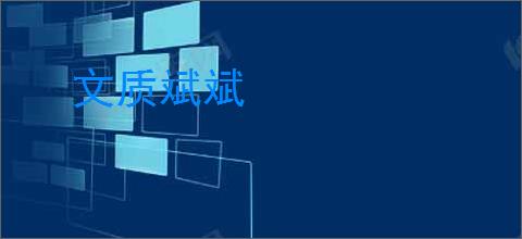 文质斌斌
