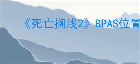 《死亡搁浅2》BPAS位置介绍