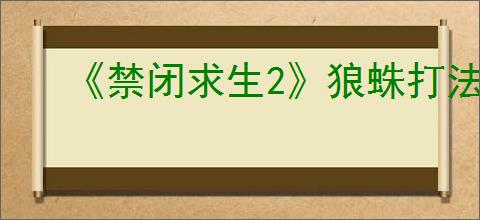 《禁闭求生2》狼蛛打法介绍