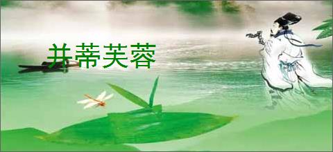 并蒂芙蓉