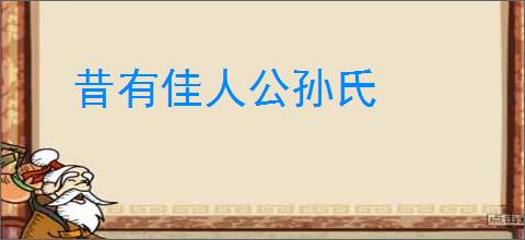 昔有佳人公孙氏