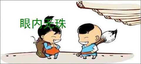 眼内无珠