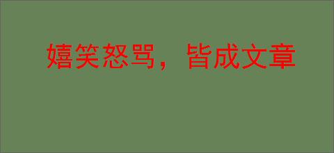 嬉笑怒骂，皆成文章