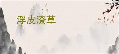 浮皮潦草