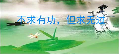 不求有功，但求无过