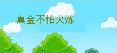 真金不怕火炼