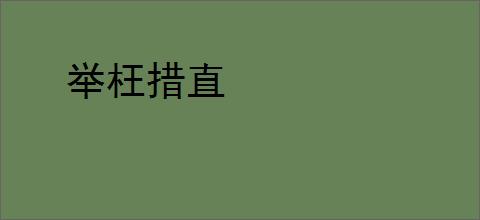 举枉措直