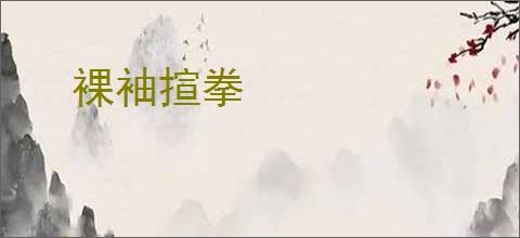裸袖揎拳