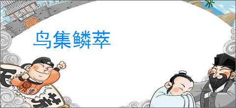 鸟集鳞萃
